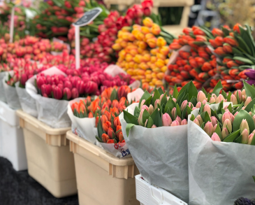 Aalsmeer Flower Auction